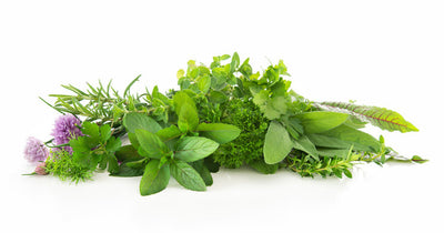 Essential Herbs